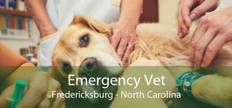 Emergency Vet Fredericksburg - North Carolina