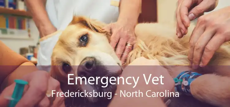 Emergency Vet Fredericksburg - North Carolina