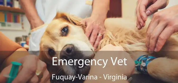 Emergency Vet Fuquay-Varina - Virginia