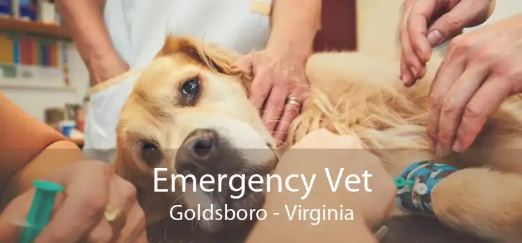 Emergency Vet Goldsboro - Virginia