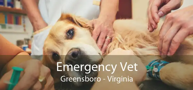 Emergency Vet Greensboro - Virginia