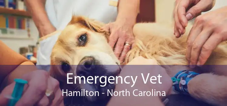 Emergency Vet Hamilton - North Carolina