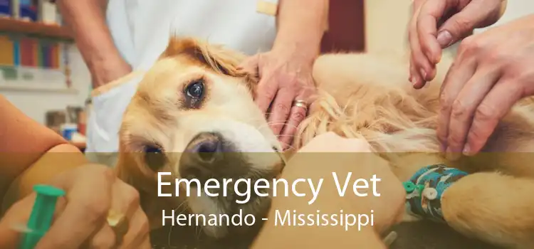 Emergency Vet Hernando - Mississippi