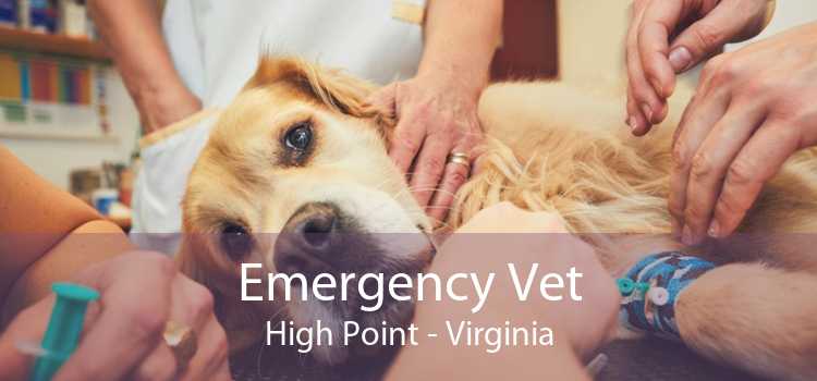 Emergency Vet High Point - Virginia