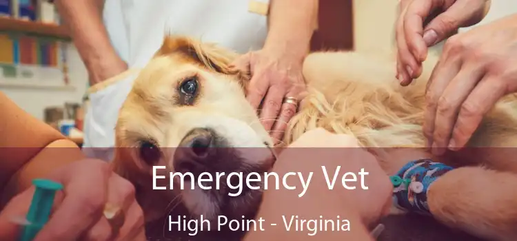 Emergency Vet High Point - Virginia