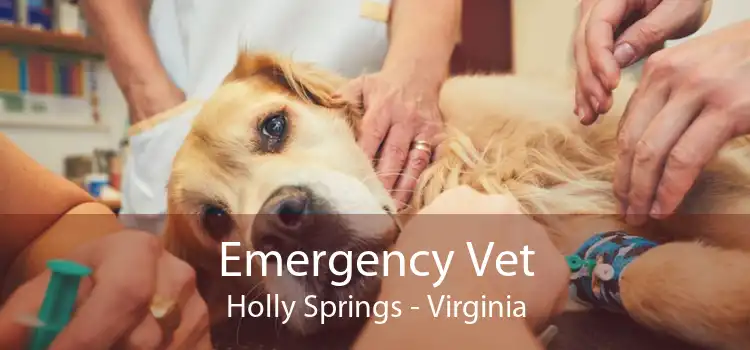 Emergency Vet Holly Springs - Virginia