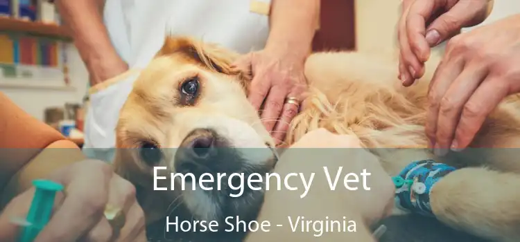 Emergency Vet Horse Shoe - Virginia