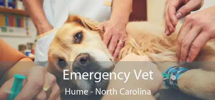 Emergency Vet Hume - North Carolina