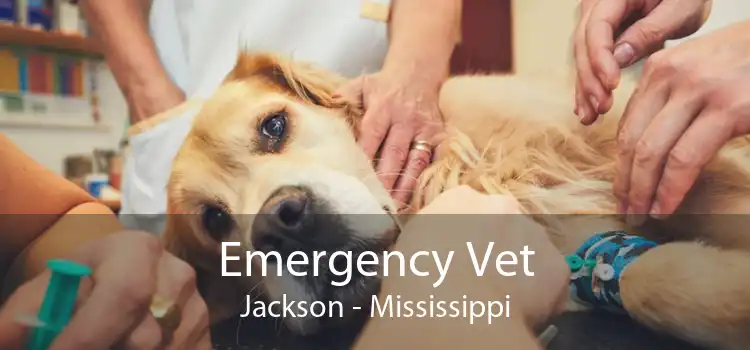 Emergency Vet Jackson - Mississippi