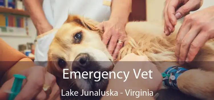 Emergency Vet Lake Junaluska - Virginia