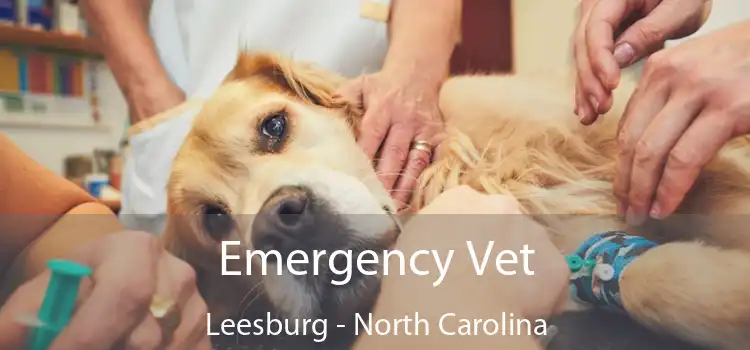 Emergency Vet Leesburg - North Carolina