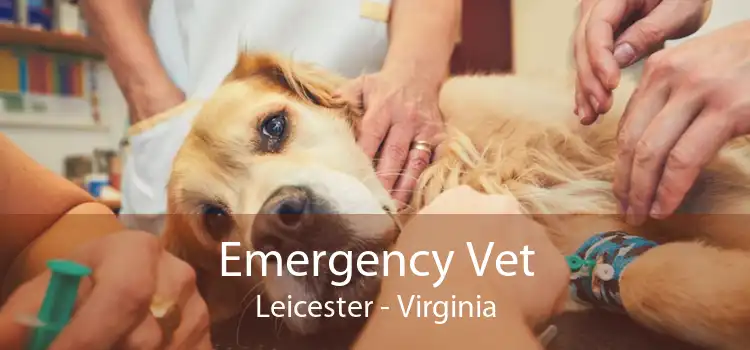 Emergency Vet Leicester - Virginia