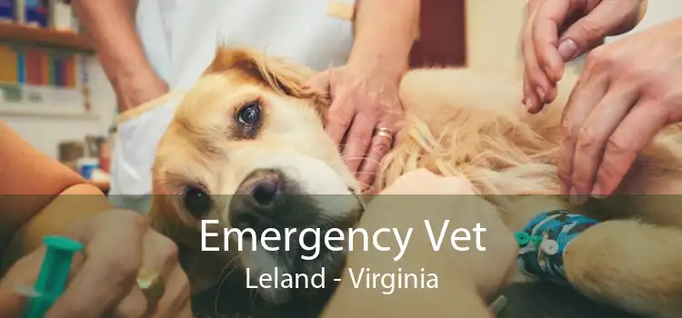 Emergency Vet Leland - Virginia
