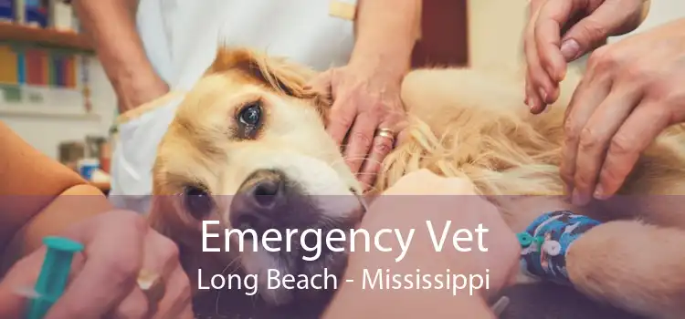 Emergency Vet Long Beach - Mississippi