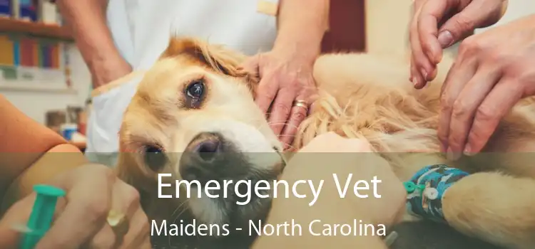 Emergency Vet Maidens - North Carolina