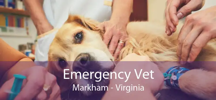 Emergency Vet Markham - Virginia