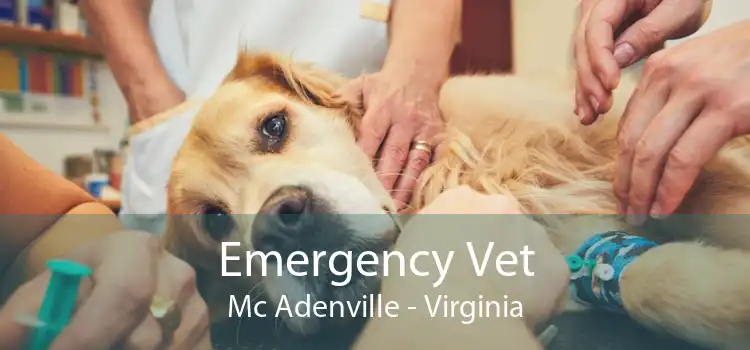 Emergency Vet Mc Adenville - Virginia
