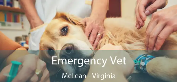 Emergency Vet McLean - Virginia