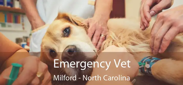 Emergency Vet Milford - North Carolina