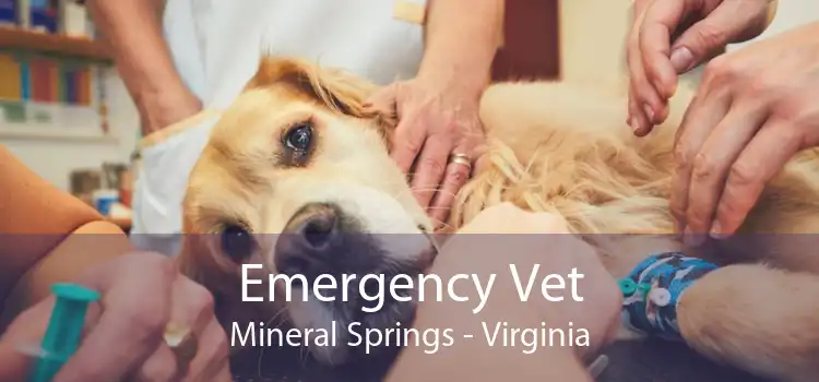 Emergency Vet Mineral Springs - Virginia