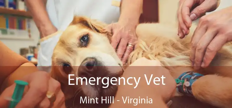 Emergency Vet Mint Hill - Virginia