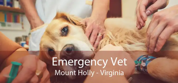 Emergency Vet Mount Holly - Virginia