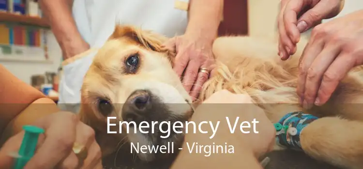 Emergency Vet Newell - Virginia