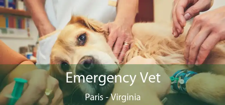 Emergency Vet Paris - Virginia