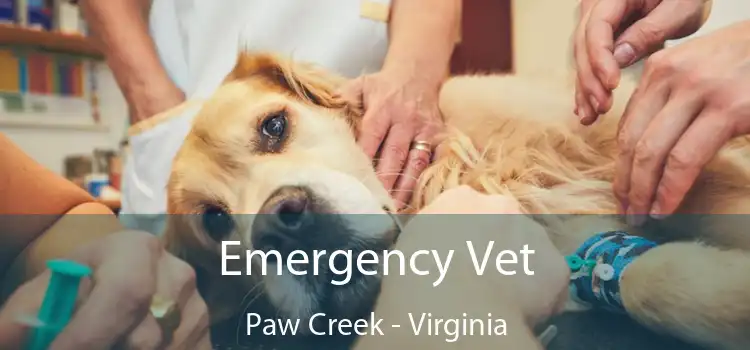 Emergency Vet Paw Creek - Virginia