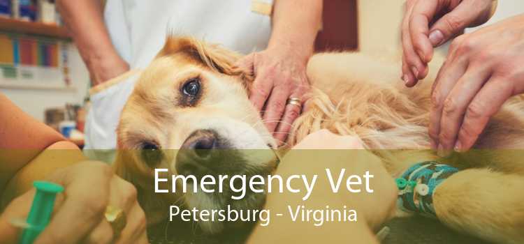 Emergency Vet Petersburg - Virginia