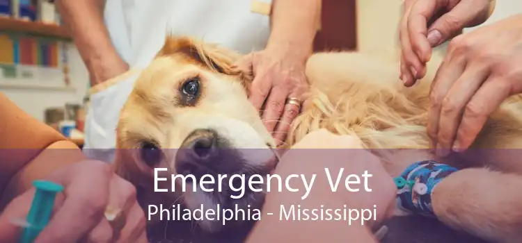 Emergency Vet Philadelphia - Mississippi