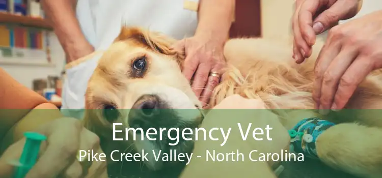 Emergency Vet Pike Creek Valley - North Carolina