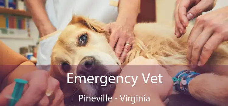 Emergency Vet Pineville - Virginia