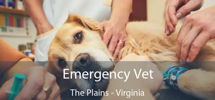 Emergency Vet The Plains - Virginia