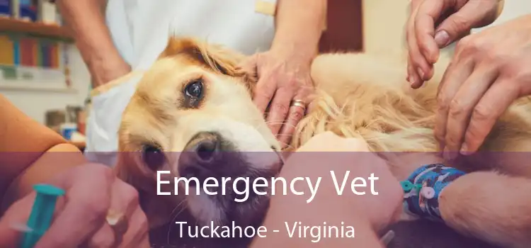 Emergency Vet Tuckahoe - Virginia