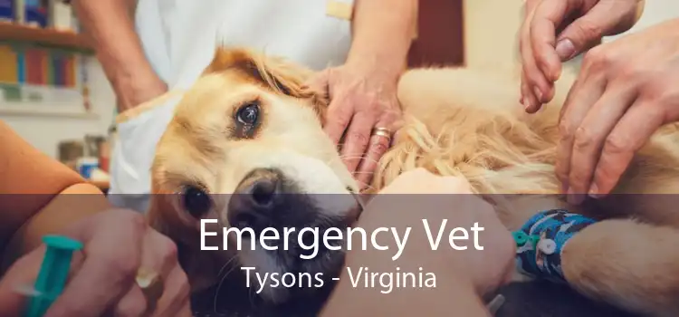 Emergency Vet Tysons - Virginia