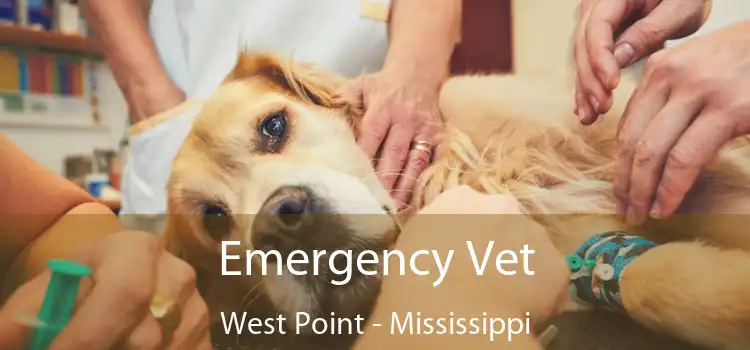 Emergency Vet West Point - Mississippi