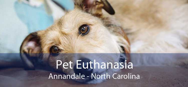 Pet Euthanasia Annandale - North Carolina