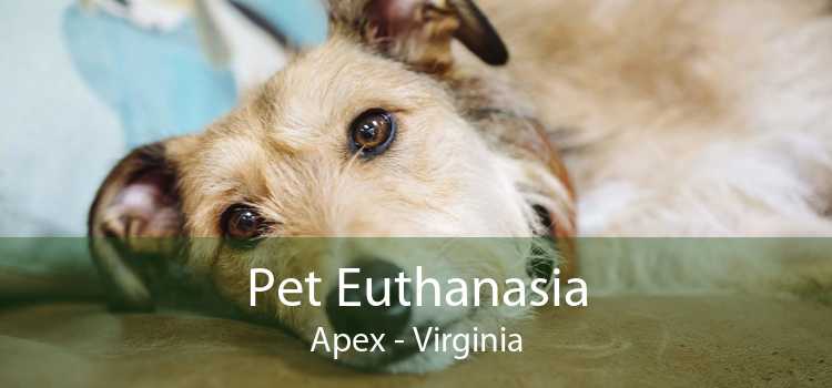 Pet Euthanasia Apex - Virginia