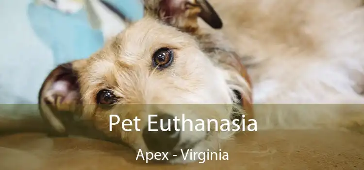 Pet Euthanasia Apex - Virginia