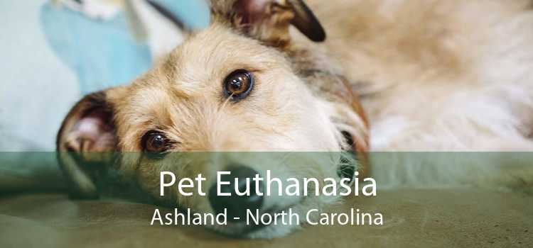 Pet Euthanasia Ashland - North Carolina