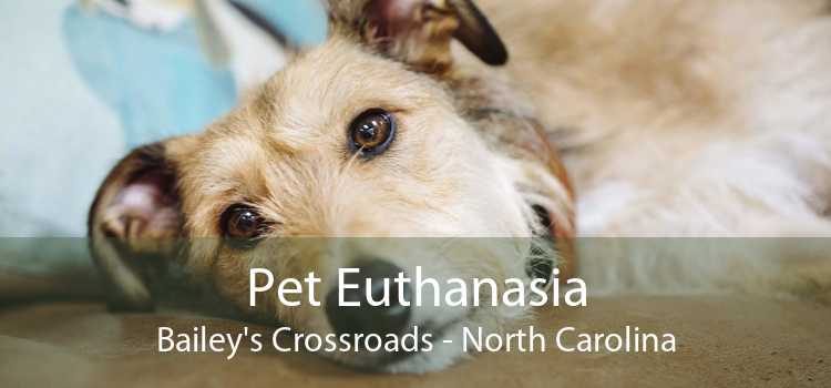 Pet Euthanasia Bailey's Crossroads - North Carolina
