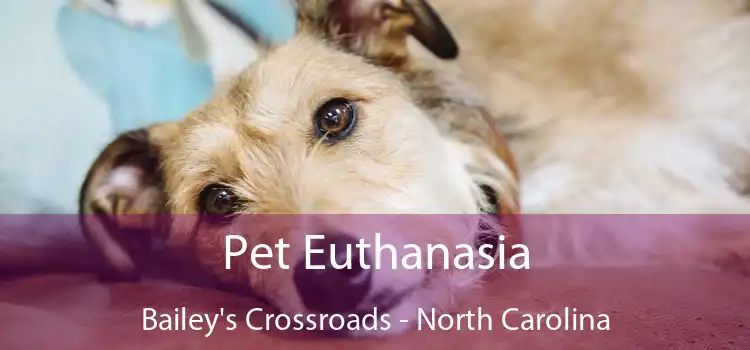 Pet Euthanasia Bailey's Crossroads - North Carolina