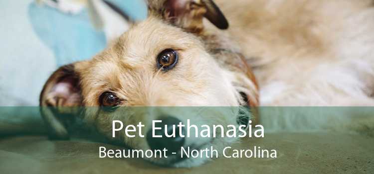 Pet Euthanasia Beaumont - North Carolina