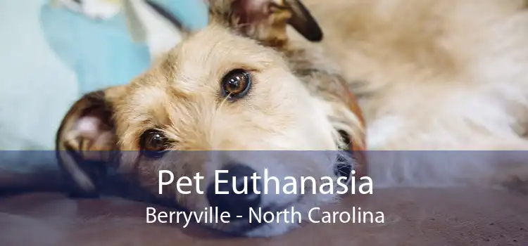 Pet Euthanasia Berryville - North Carolina