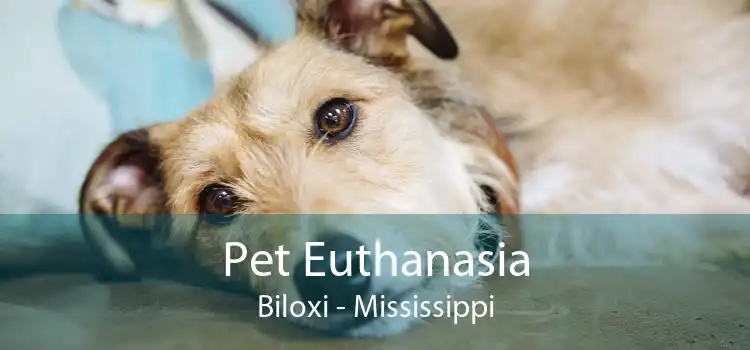 Pet Euthanasia Biloxi - Mississippi