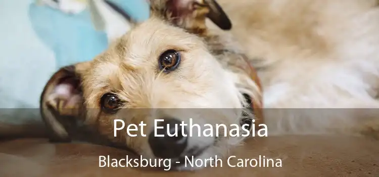 Pet Euthanasia Blacksburg - North Carolina