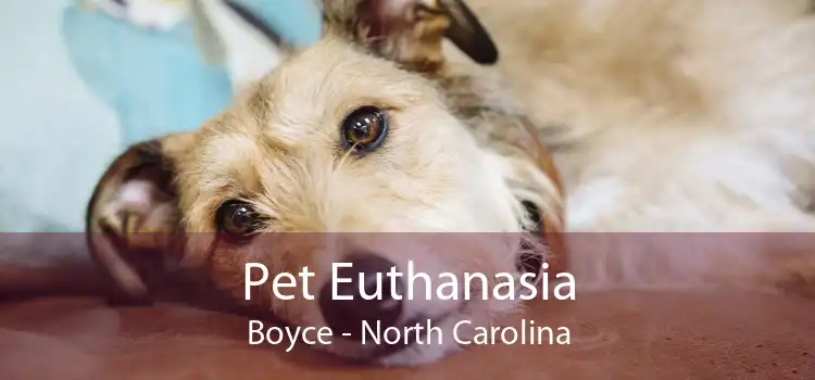 Pet Euthanasia Boyce - North Carolina