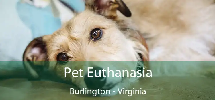 Pet Euthanasia Burlington - Virginia