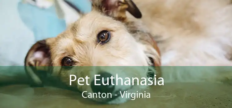 Pet Euthanasia Canton - Virginia